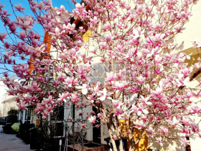 Vilă de vânzare – mobilată și utilată/complex privat zona Pallady