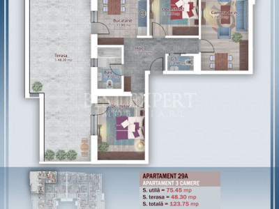 3 Camere Direct Dezvoltator Ideal Familie